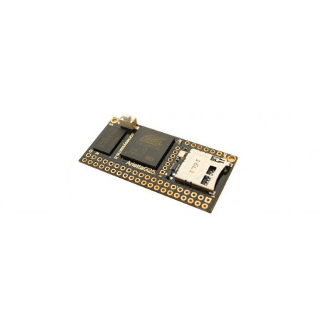 Module microcontrôlé linux emabrqué "Arietta G25" - Version 256 MB Ram