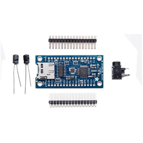 Module lecteur-enregistreur audio - 1