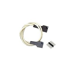 Cordon Pmod 6 Pin Cable Connector 12" - 1