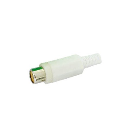 Connecteur RCA femelle (blanc) - 1