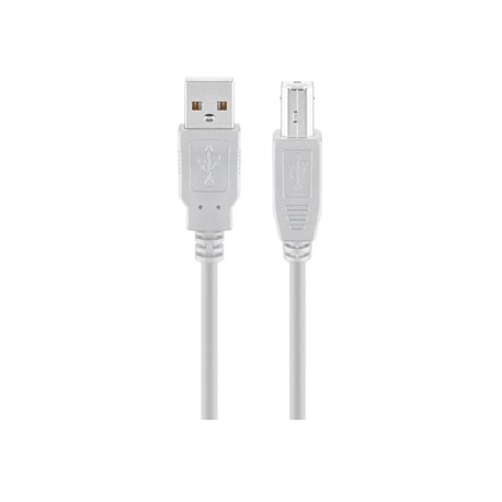 Cordon USB A mâle - USB B mâle (1,8 m)