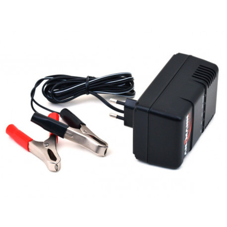 Chargeur pour batteries au plomb de 2V 6V 12V ou 24V  - 1