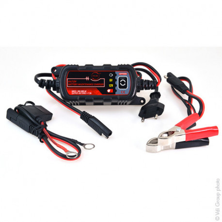 Chargeur pour batteries au plomb 12V ou 24V