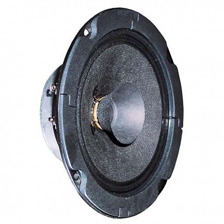 BG 13 P - 8 Ohm - Haut-parleur large bande 13 cm (5")  - 1